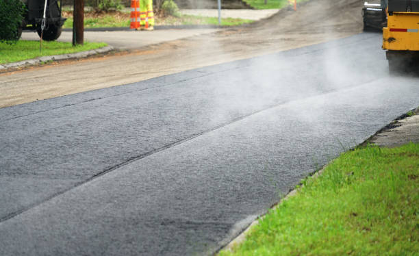 Best Local Driveway Pavers  in Broadview Park, FL