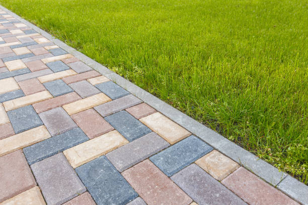 Best Driveway Paver Repair  in Broadview Park, FL